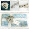 Fabric_roses_grid