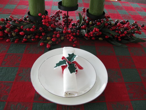 Christmas_sewing_project_2011_005_large