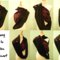 Trinity_scarf_chantell_grid