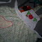 S5031359_grid