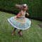 Dsc_0759_grid