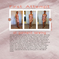Web2011-11-10-first-dress_listing