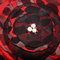 Dsc00020_grid