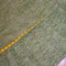 Dscf5056_grid