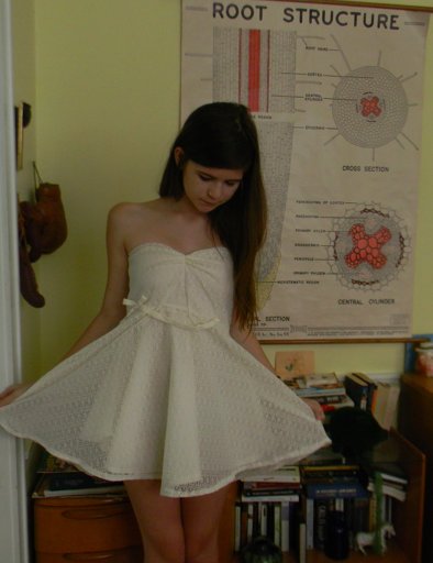 Screen_shot_2011-07-13_at_2_51_34_pm_large