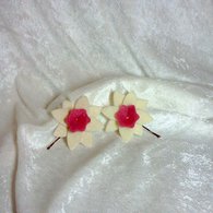 Img_20111204_062607_listing