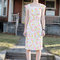 Charlotte4_grid