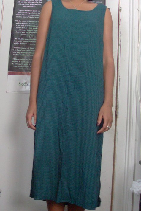 Hpim2339_large