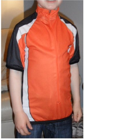 Cropped_top_pic_large