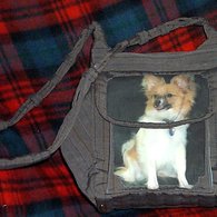 Oscar_purse_christmas05_listing