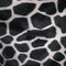 B5569_6__grid