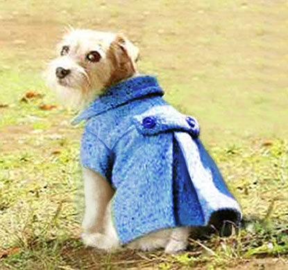Coat_large