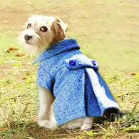 Coat_listing