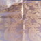Sam_0358_grid