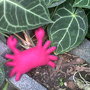 Krab_outside_thumb
