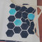 _sam1069w_grid