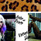 Moodboard_colores4_grid