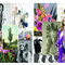 Burdamood_grid