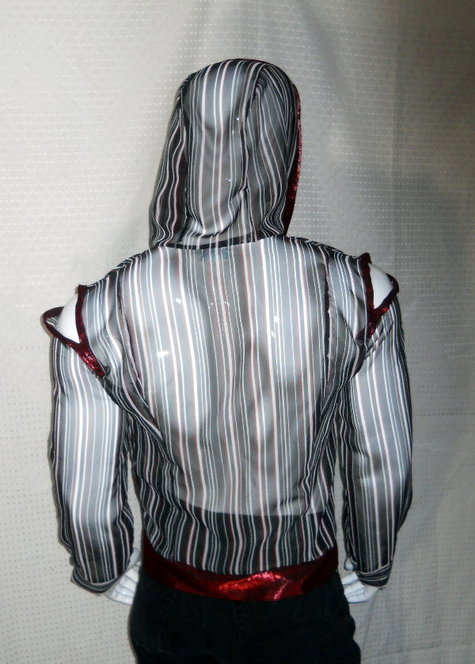 Sheer_striped_hoodie_back_view_large