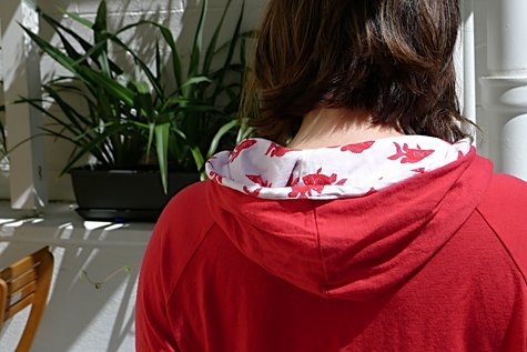 Hoody3_large