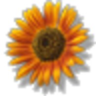 Sunflower_listing