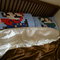 P1030560_grid