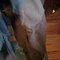 2012-02-16_15_50_04_grid
