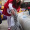 Carnaval_20120219_0015_grid