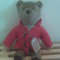 Paddington-red-no-hat_grid