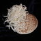Hat_2_010_grid