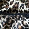 Nutmeg_detail_grid