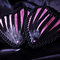 07032012-img_4815_grid