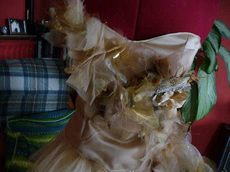 P1000737_large