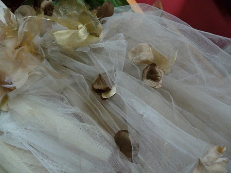 P1000610_large