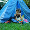 Dsc_2742_grid