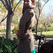 20120318_151512_grid