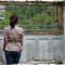 Grannychicback_grid