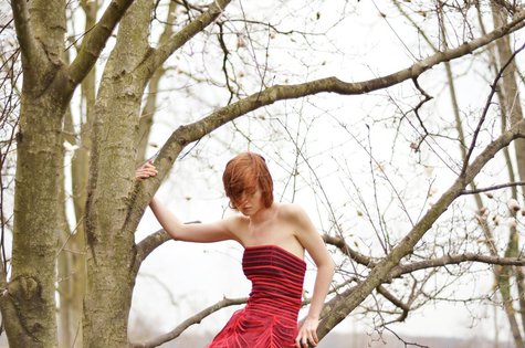 Dsc_8741_large