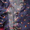 Dsc04927_grid