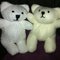 Bros_bears_2011_grid