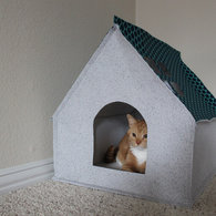 Cathouse1_listing