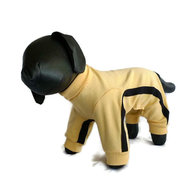 Dog1_listing