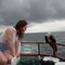 Sweet_shorts_4_grid