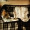 Skirt_inside_grid