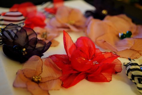Dsc_0006_large