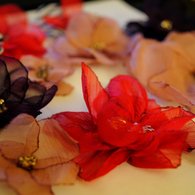 Dsc_0006_listing