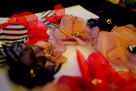 Dsc_0008_large