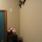 Cat_grid