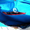 Dscn4315_grid