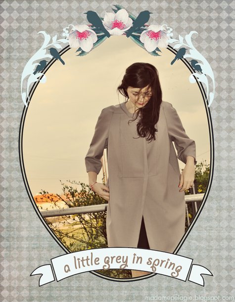 Greyspringcoat_large